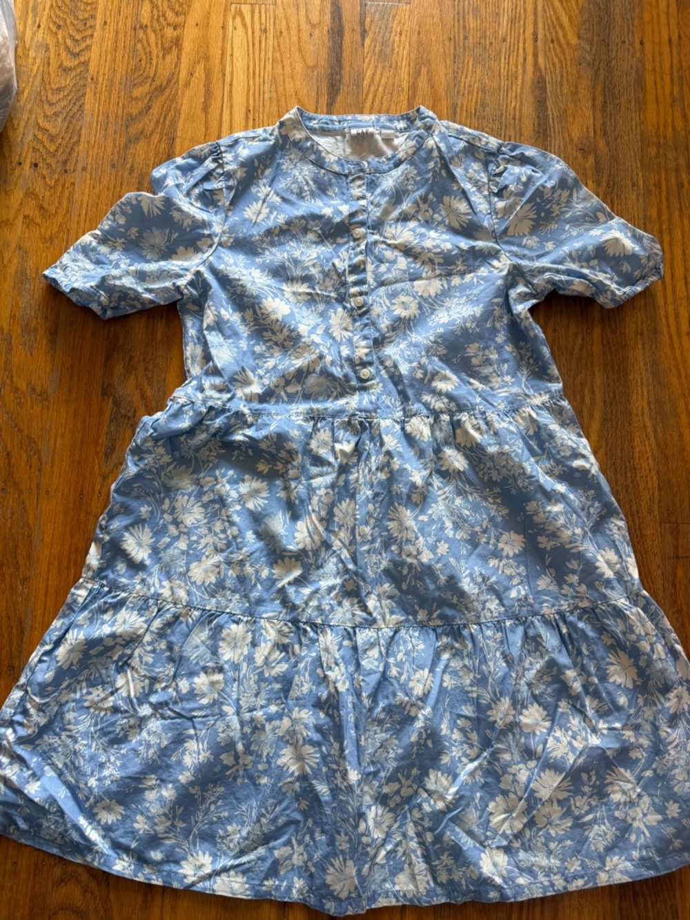 GAP Light Blue and White Floral Button-Front Dress